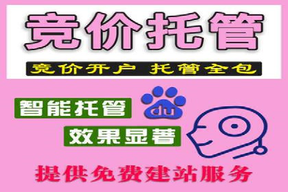 解析SEM竞价代运营的成功要素及案例