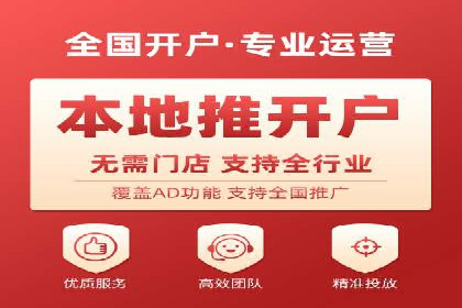 某电商平台的SEM广告投放策略及效果评估